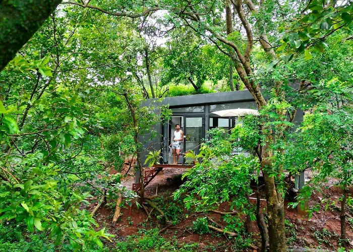 Wind Over Waters Cabin 1