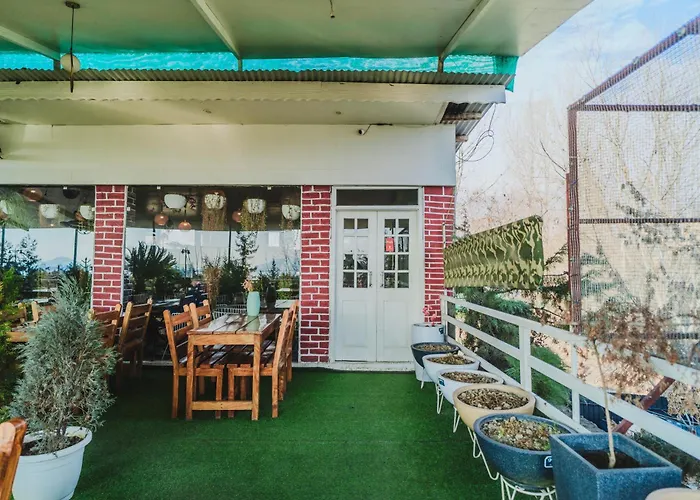Dojee'S The Floral Home