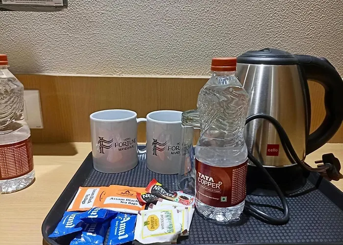 Hotel Fortune Mandsaur