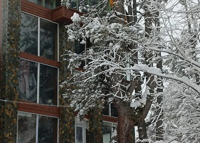 Black Pine Hotel