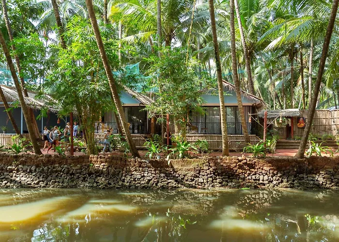 Palm Trees Ayurvedic Heritage
