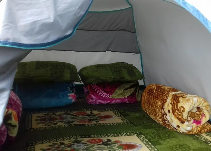 Hike N Camping