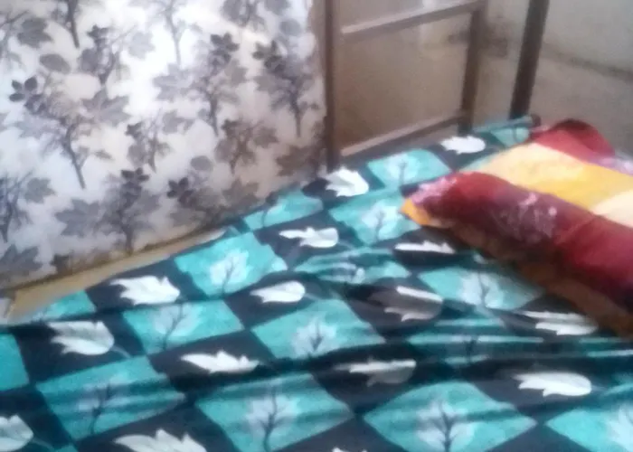Himalayan Bed & Breakfast, Triund Hill Trekking And Snowline Trekking Hostel
