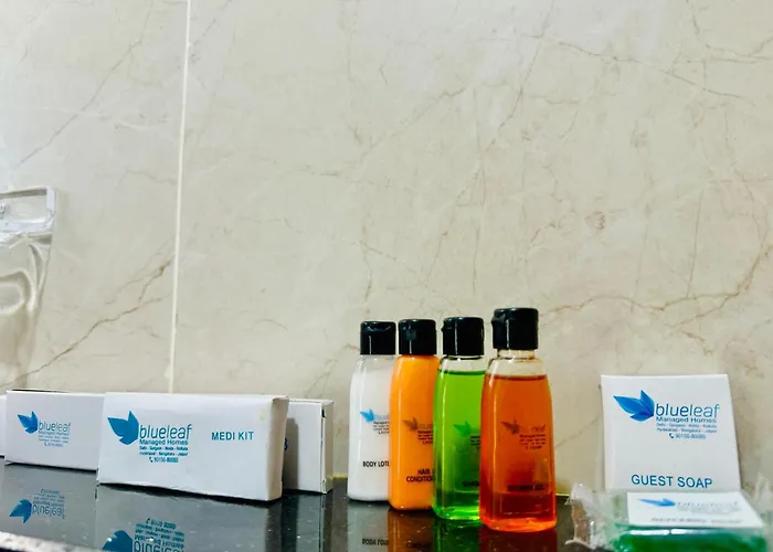 Olive Service Apartments - Hicc Hitex Kondapur