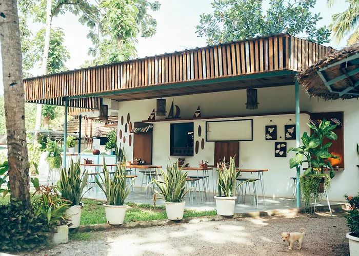 Paddle Cult Surf & Yoga