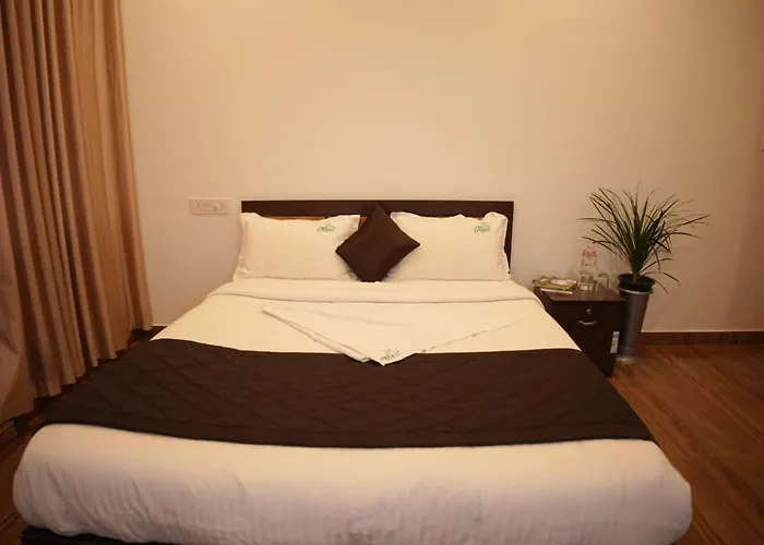 Olivet Homestay
