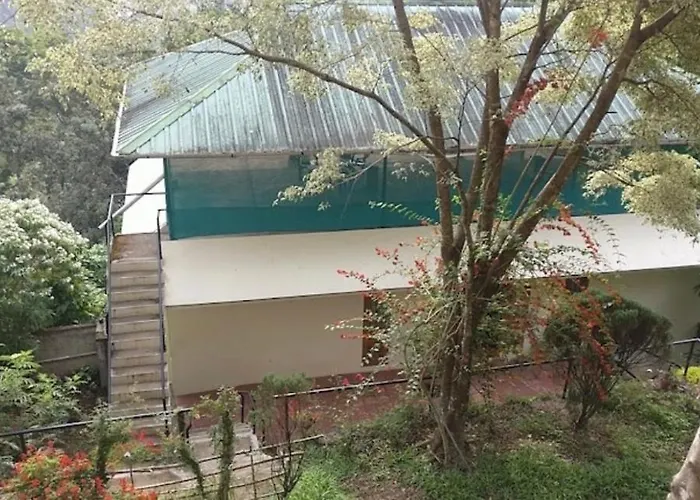 Winter Green Resorts, Munnar