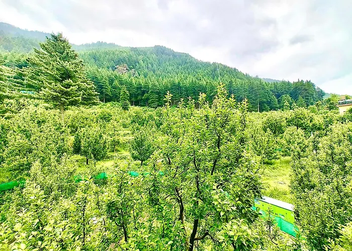New Rewat Residency Manali