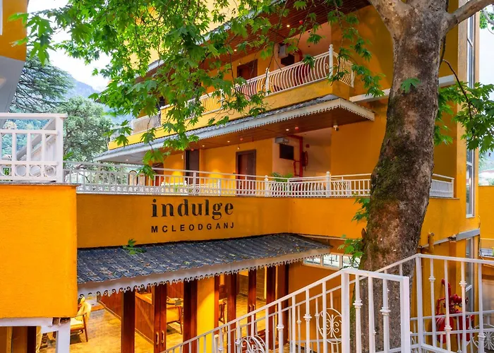 Indulge Mcleodganj By Pack
