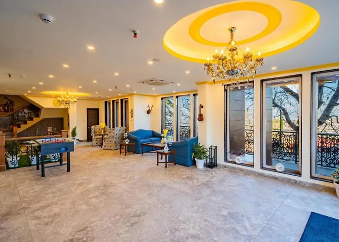 The Hosteller Shimla, Valley View
