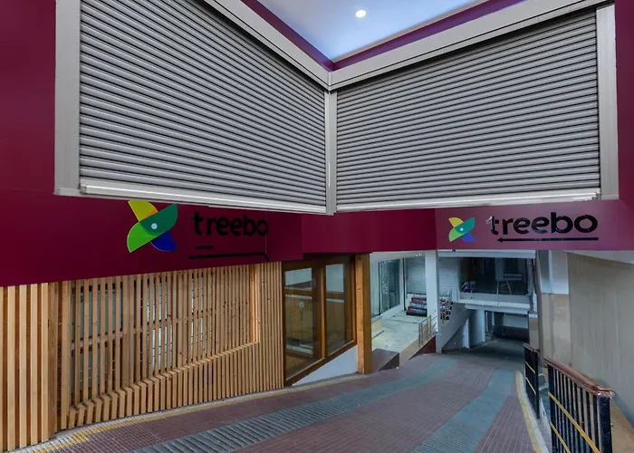 Treebo Anand The Mall Solan