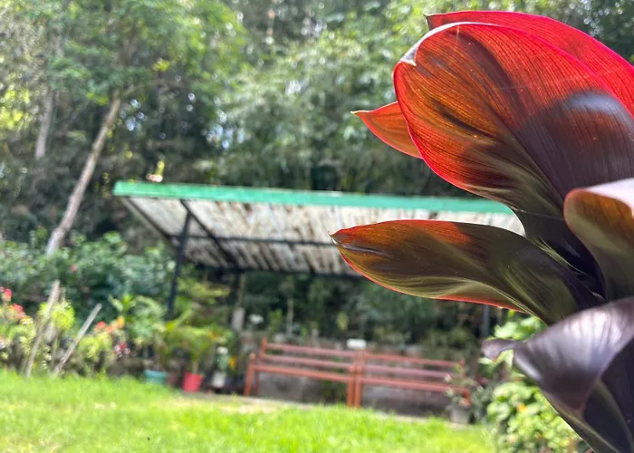 The Grand Kalimpong