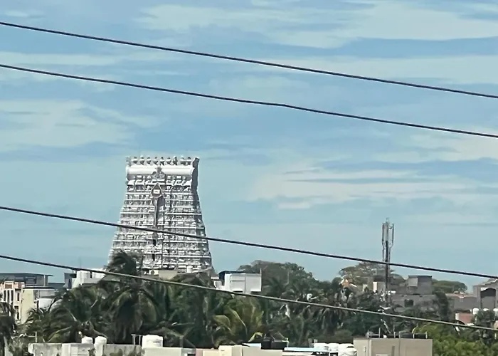 Vadamalai Nest Near Bus Stand