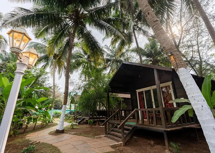 The Exotica Agonda