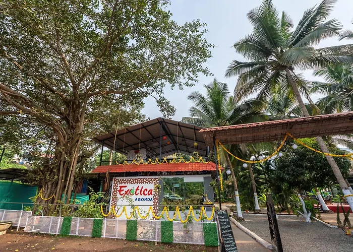 The Exotica Agonda