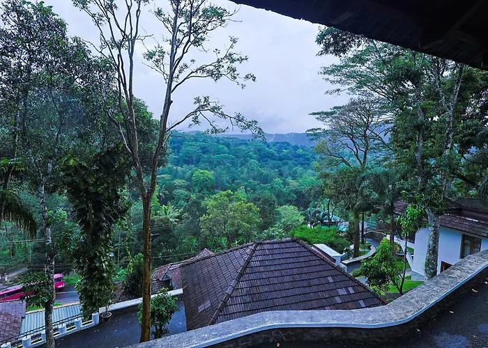Forest Canopy Thekkady