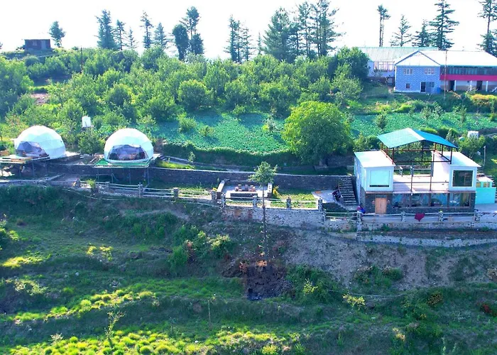 The Astro Orchard