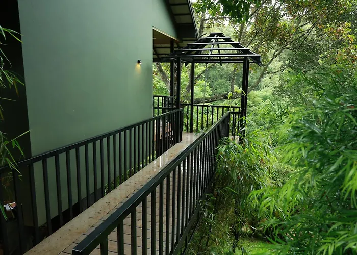 Swiss Holidays
