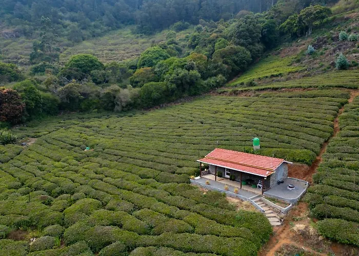Wild And Free Farm Stay