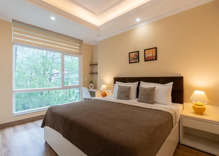 Pristine Pines By Veo - 8Br,2Br With Comp Breakfast At Kasauli