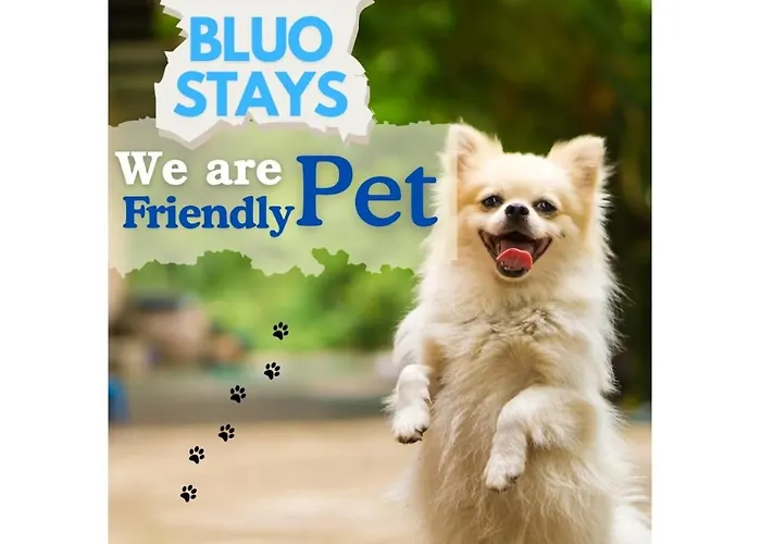 Bluo Studio - M Block Mkt Greater Kailash