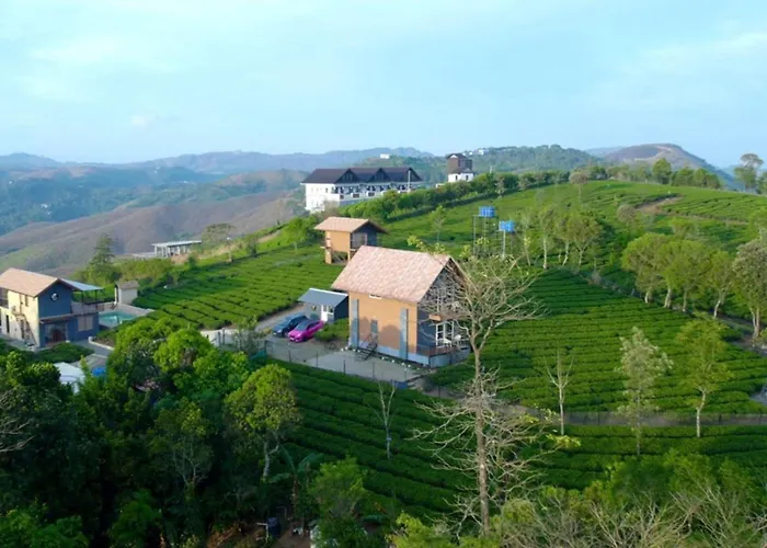 Cloud Canopy - Tea Garden Family Pool Cottage In Vagamon
