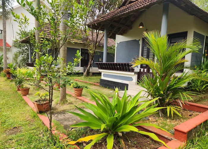Divine Bliss Beach Resort