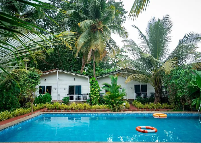 White Truffle Resort, Arambol