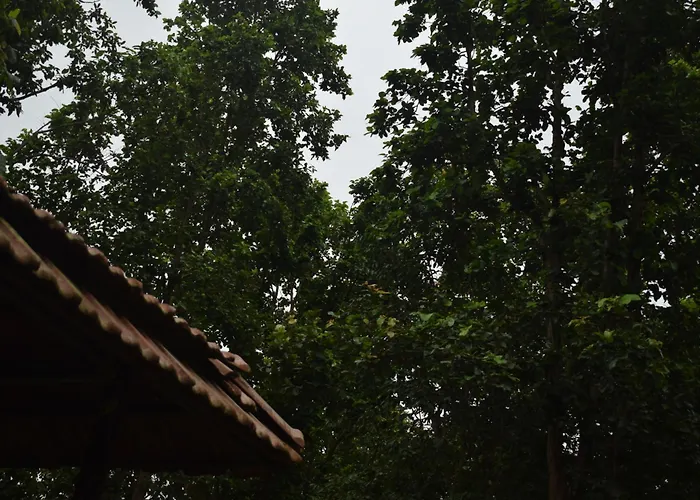 Athulyam Kanha, Kanha National Park, Mukki Gate