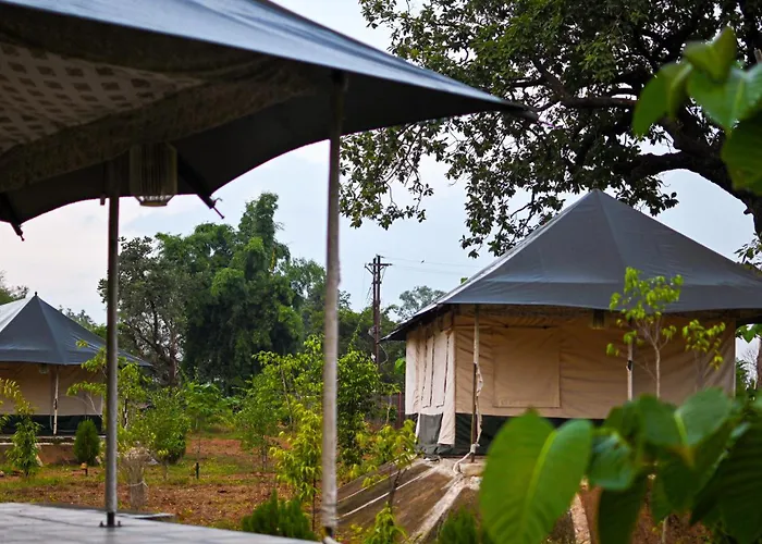Bundeli Camps And Resorts, Panna