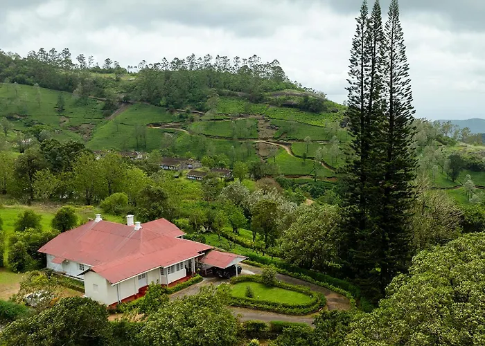 Sereniva Orange Grove Bungalow