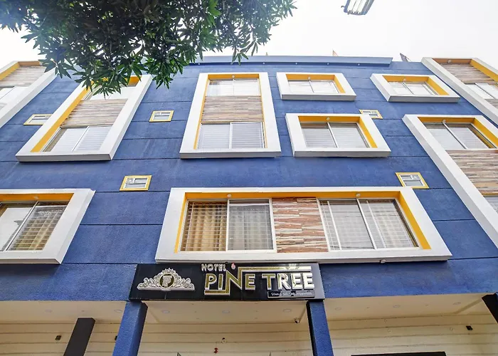 Townhouse Pine Tree