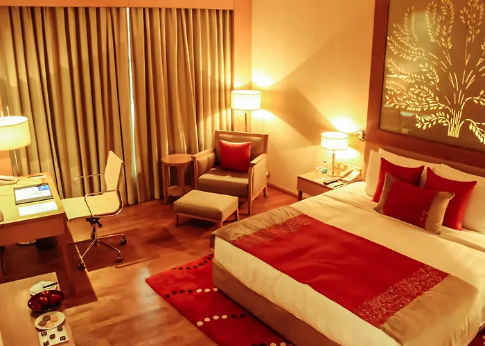 Radisson Blu Hotel New Delhi Dwarka
