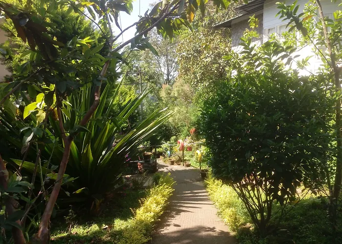 Spicetree Munnar