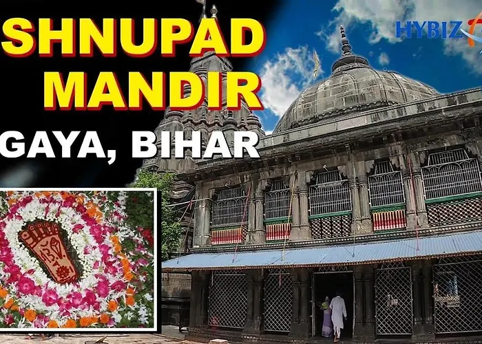 Hotel Basant Vihar International