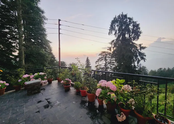 Forest Vibes Kalatop-Rooms And Restaurant