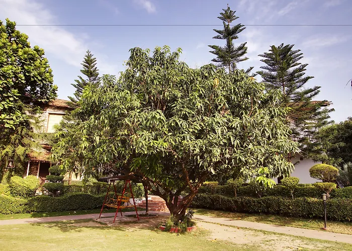 Wood Castle Spa & Resort