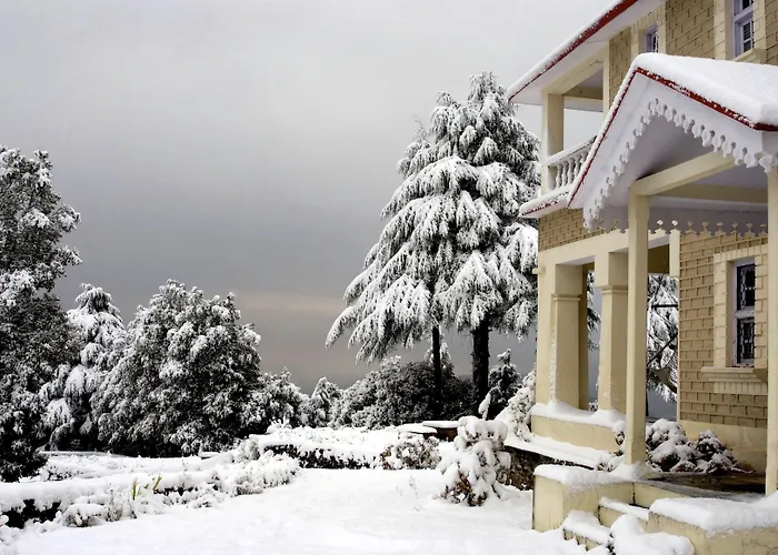 Tree Of Life Grand Oak Manor, Binsar