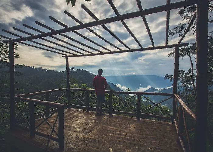 After The Rains - Rainforest Lodge