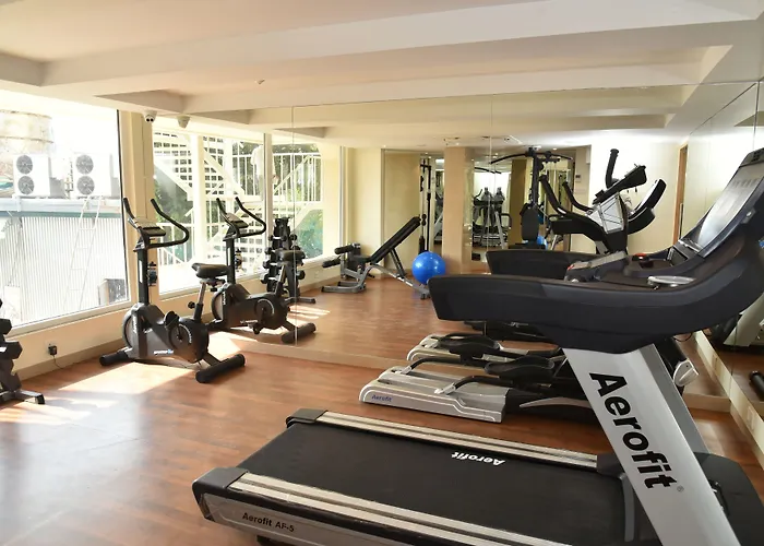Effotel By Sayaji Vadodara