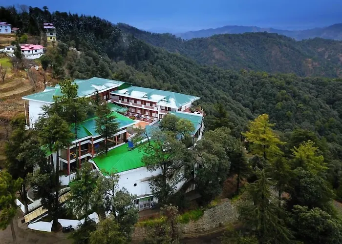 Treehouse Chail Villas