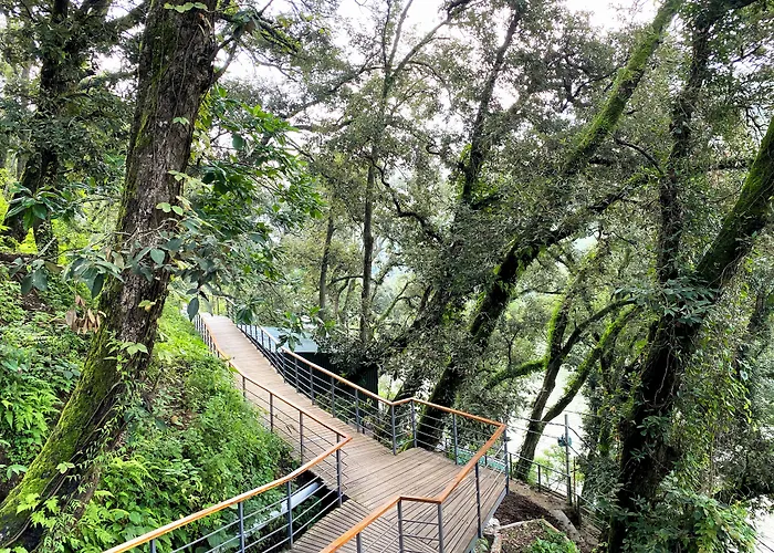 The Rosefinch Sarovar Portico Bhimtal