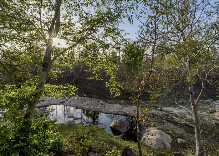 The Riverwood Forest Retreat Pench