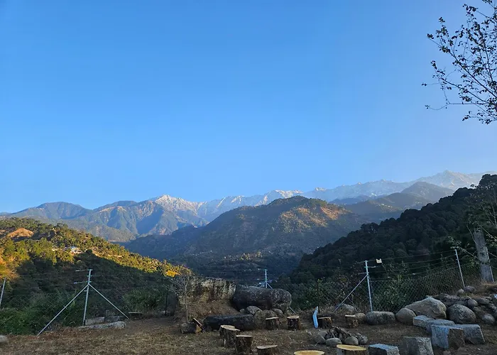Dhauladhar View Village Resort