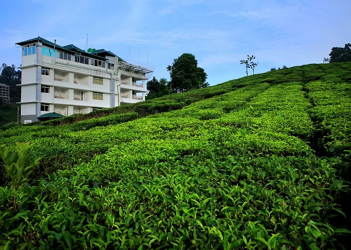 Monsoon Grande