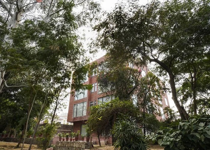 Tree Of Life The Nest, Jaipur