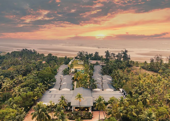 Foxoso La Beach Resort & Spa