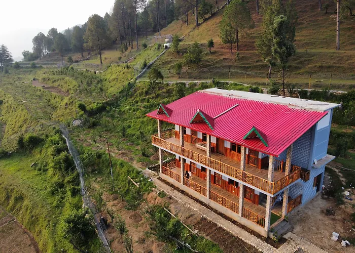Cortland Jungle Resort