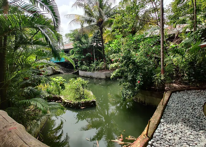 Palm Grove Eco Resort