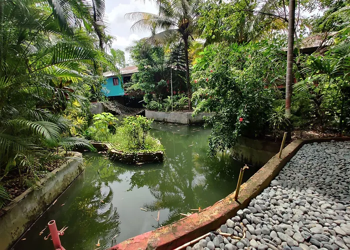 Palm Grove Eco Resort